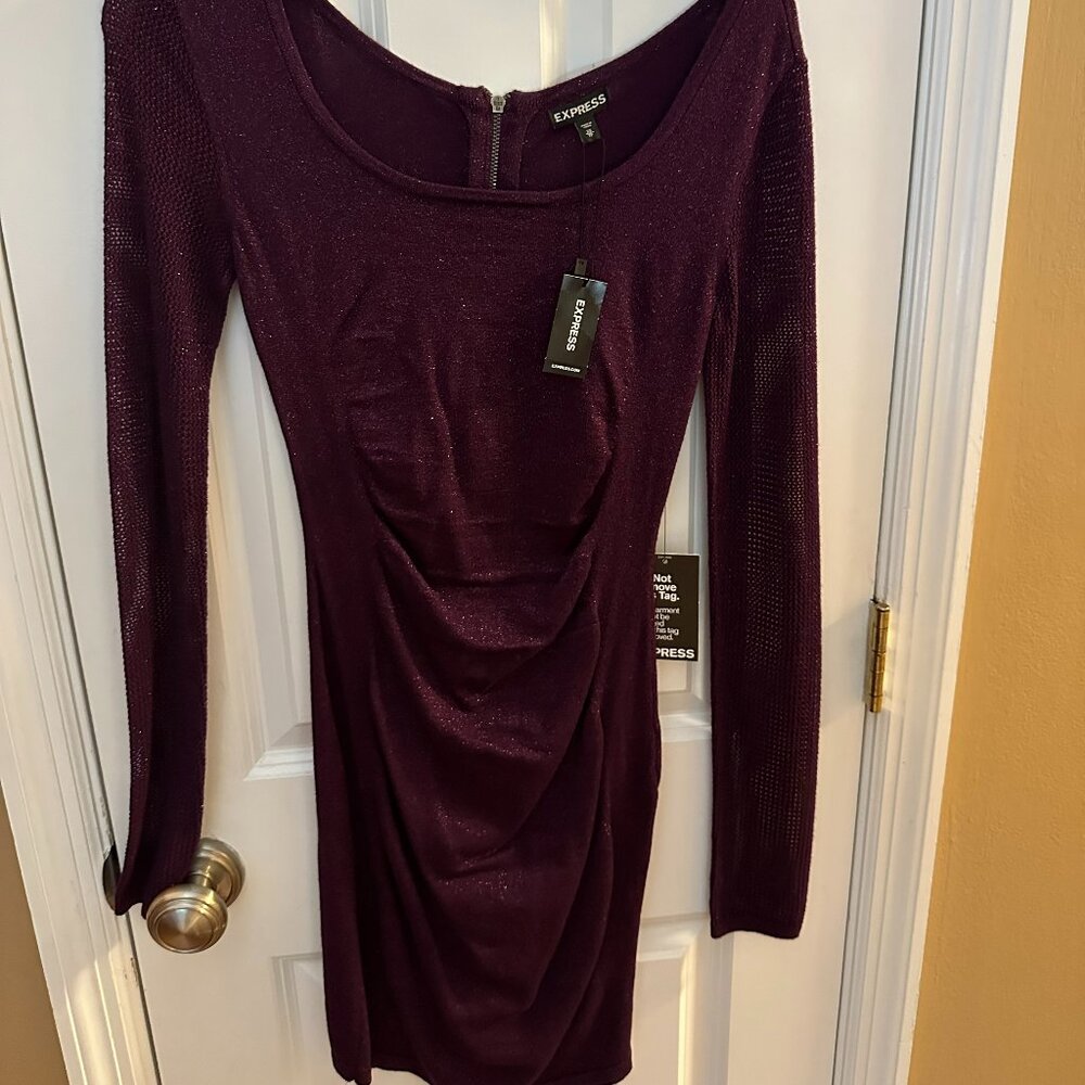 Burgundy Shimmery Dress